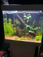 Afbeelding van WhatsApp op 2025-10-24 om 19.41.15_5fe009d7.jpg