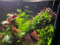 WhatsApp Image 2025-12-02 at 16.11.19 (1).jpeg