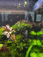 WhatsApp Image 2025-12-02 at 16.11.19 (2).jpeg