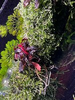 WhatsApp Image 2025-12-02 at 16.11.19 (3).jpeg