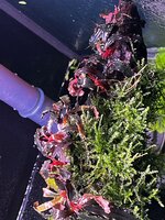 WhatsApp Image 2025-12-02 at 16.11.19 (4).jpeg