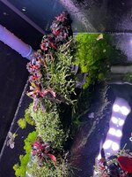 WhatsApp Image 2025-12-02 at 16.11.19 (5).jpeg