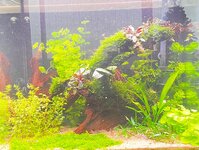 WhatsApp Image 2025-12-02 at 16.11.19.jpeg