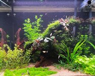 WhatsApp Image 2025-12-02 at 22.01.08.jpeg