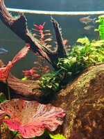 IMG20251201173229.jpg IMG20251201173229.jpg