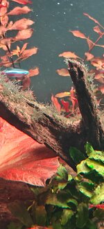 IMG20251207180643.jpg IMG20251207180643.jpg