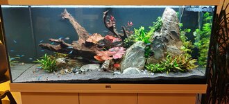 IMG20251207180603.jpg IMG20251207180603.jpg