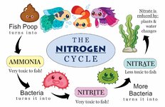 IMG_8351.jpeg IMG_8351.jpeg