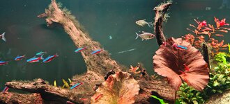 IMG20251217163436.jpg IMG20251217163436.jpg