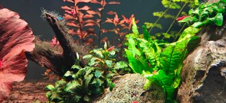 IMG20251217163449.jpg IMG20251217163449.jpg