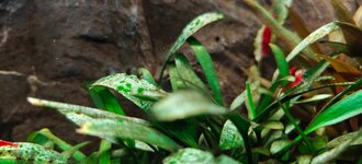 IMG20251217175418.jpg IMG20251217175418.jpg