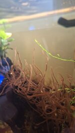 WhatsApp Image 2025-12-27 at 12.29.44 (1).jpeg