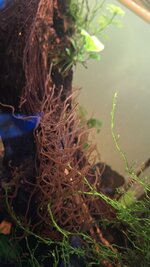 WhatsApp Image 2025-12-27 at 12.29.44 (2).jpeg