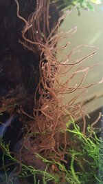 WhatsApp Image 2025-12-27 at 12.29.44.jpeg