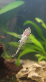 WhatsApp Image 2025-12-31 at 20.30.05.jpeg