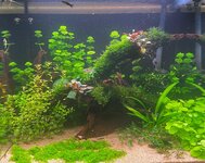 WhatsApp Image 2025-11-25 at 19.59.25.jpeg