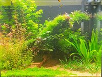 WhatsApp Image 2026-01-01 at 19.27.47.jpeg