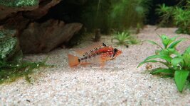 20251228_123853.jpg 20251228_123853.jpg