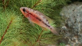 20251227_143933(1).jpg 20251227_143933(1).jpg