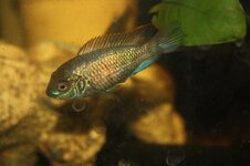 600985129_2693328831018192_6579867203188286304_n.jpg 600985129_2693328831018192_6579867203188286304_n.jpg