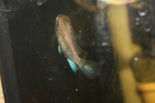 603864217_2693331231017952_3457061148644078868_n.jpg 603864217_2693331231017952_3457061148644078868_n.jpg