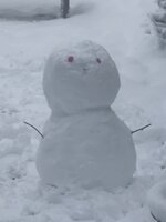 WhatsApp Image 2026-01-07 at 16.45.13.jpeg