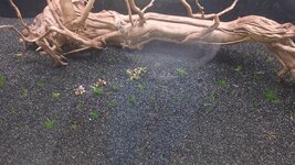 20260107_173722.jpg 20260107_173722.jpg