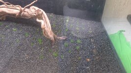 20260107_173727.jpg 20260107_173727.jpg