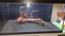 20260107_174451.jpg 20260107_174451.jpg