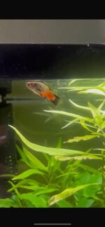 WhatsApp Image 2026-01-25 at 22.51.05 (1).jpeg