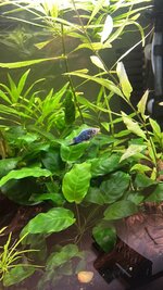 WhatsApp Image 2026-01-25 at 22.51.05.jpeg