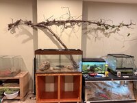 IMG_7917.jpeg IMG_7917.jpeg