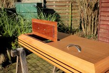 IMG_7931.jpeg IMG_7931.jpeg