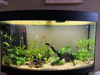 WhatsApp Image 2026-02-01 at 11.20.18.jpeg