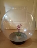 4589fc80-db8d-4069-8f9e-c5b98002957c.JPG 4589fc80-db8d-4069-8f9e-c5b98002957c.JPG