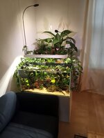 aquarium.JPG aquarium.JPG