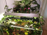 aquarium boven.JPG aquarium boven.JPG