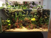 aquarium2.JPG aquarium2.JPG