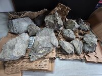 WhatsApp Image 2026-02-27 at 16.34.08.jpeg