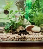 20260327_184702.jpg 20260327_184702.jpg