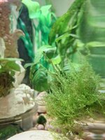 20260327_184225.jpg 20260327_184225.jpg