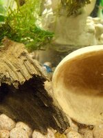 20260327_185051.jpg 20260327_185051.jpg