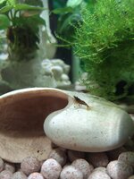 20260327_185029.jpg 20260327_185029.jpg