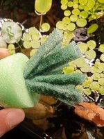 9d2c3d8e-d169-4218-9f22-818becf271a6.JPG 9d2c3d8e-d169-4218-9f22-818becf271a6.JPG