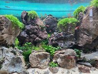 WhatsApp Image 2026-04-09 at 19.23.25(2).jpeg