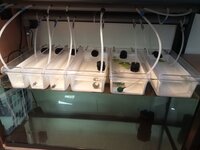 d969eb76-21de-4294-99b2-c325c8e45290.JPG d969eb76-21de-4294-99b2-c325c8e45290.JPG