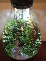 fles na twee weken.JPG