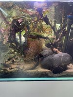 IMG_2911.jpeg