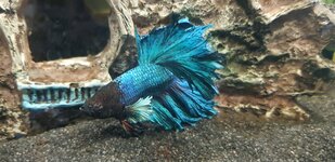 20260114_140919.jpg