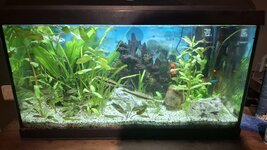 WhatsApp Image 2026-04-18 at 21.35.22.jpeg